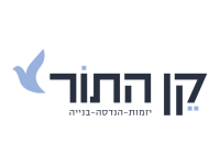 מצגת1